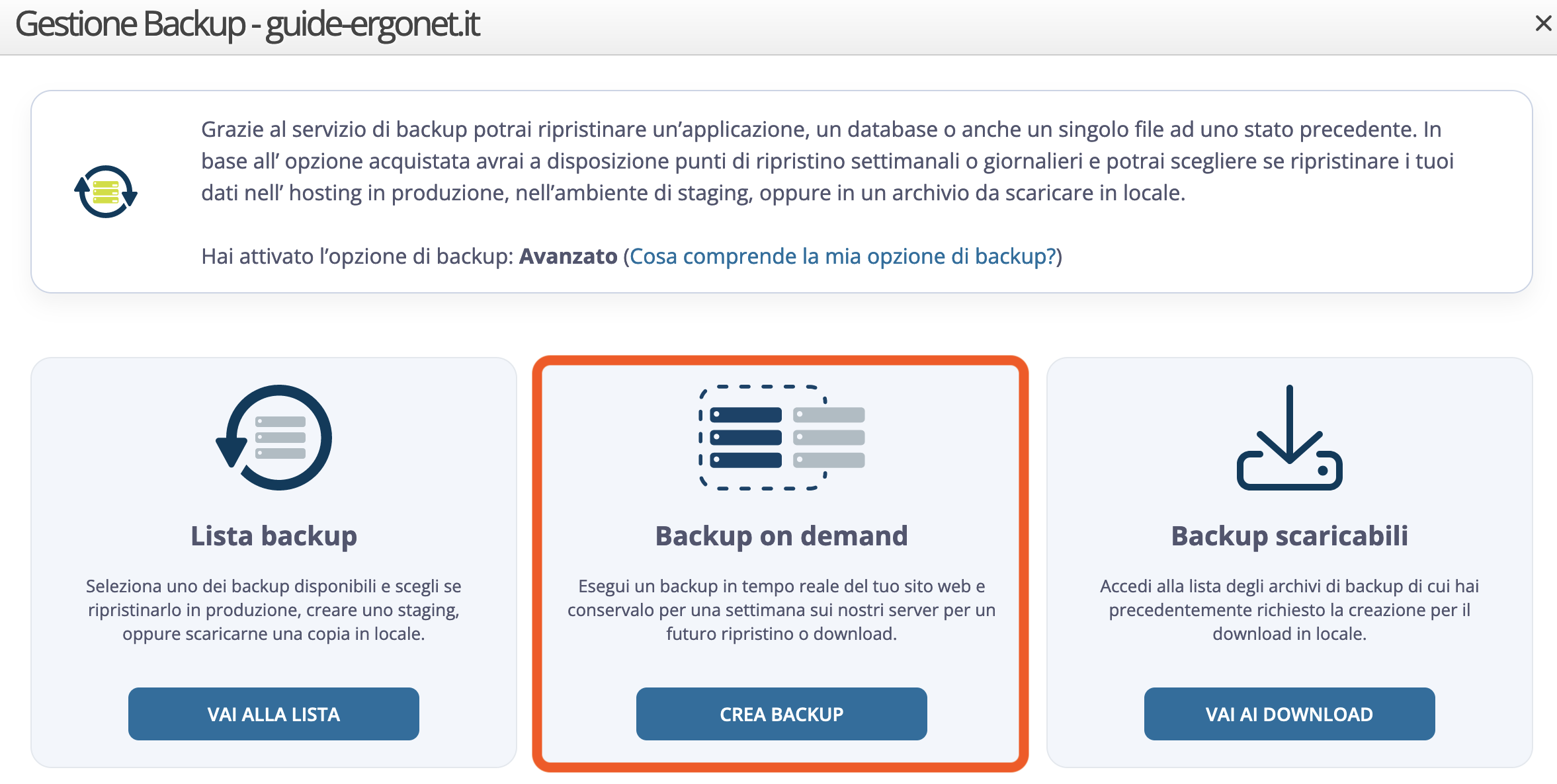 WebPanel Ergonet - Backup on demand